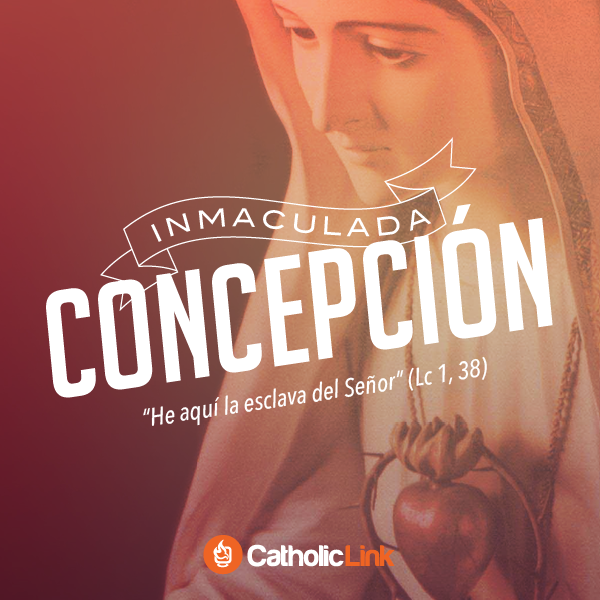 catholiclink_es's tweet photo. ¡Hoy celebramos la Solemnidad de la Inmaculada Concepción de María!

"Oh Madre Inmaculad... http://t.co/mdzSKRJ0V2 http://t.co/iQcIB0lgGD