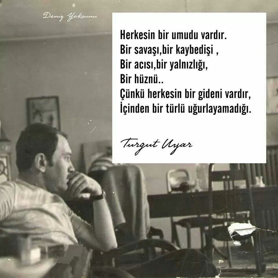 Levent (@fevri_sosyolog_) on Twitter photo 