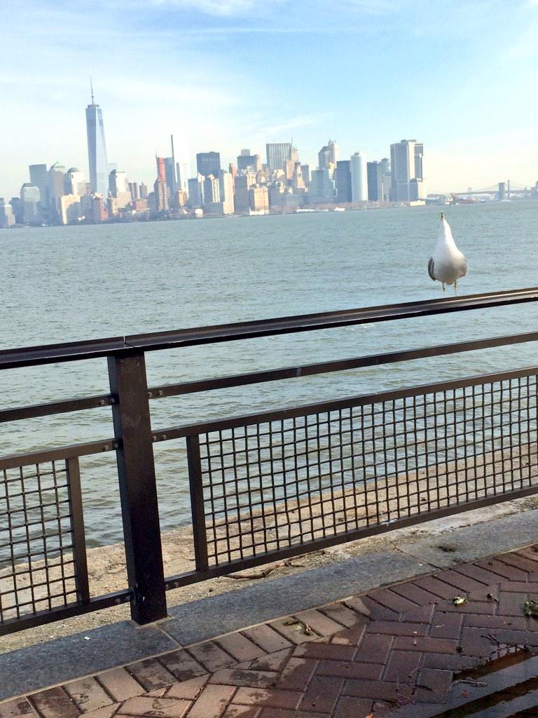 CarlosValverde2's tweet photo. Por el mejor viaje en la mejor compañia que uno puede imaginar 🗽🌃🌉 #NYC #familia #2014 http://t.co/F2bykUCCoT