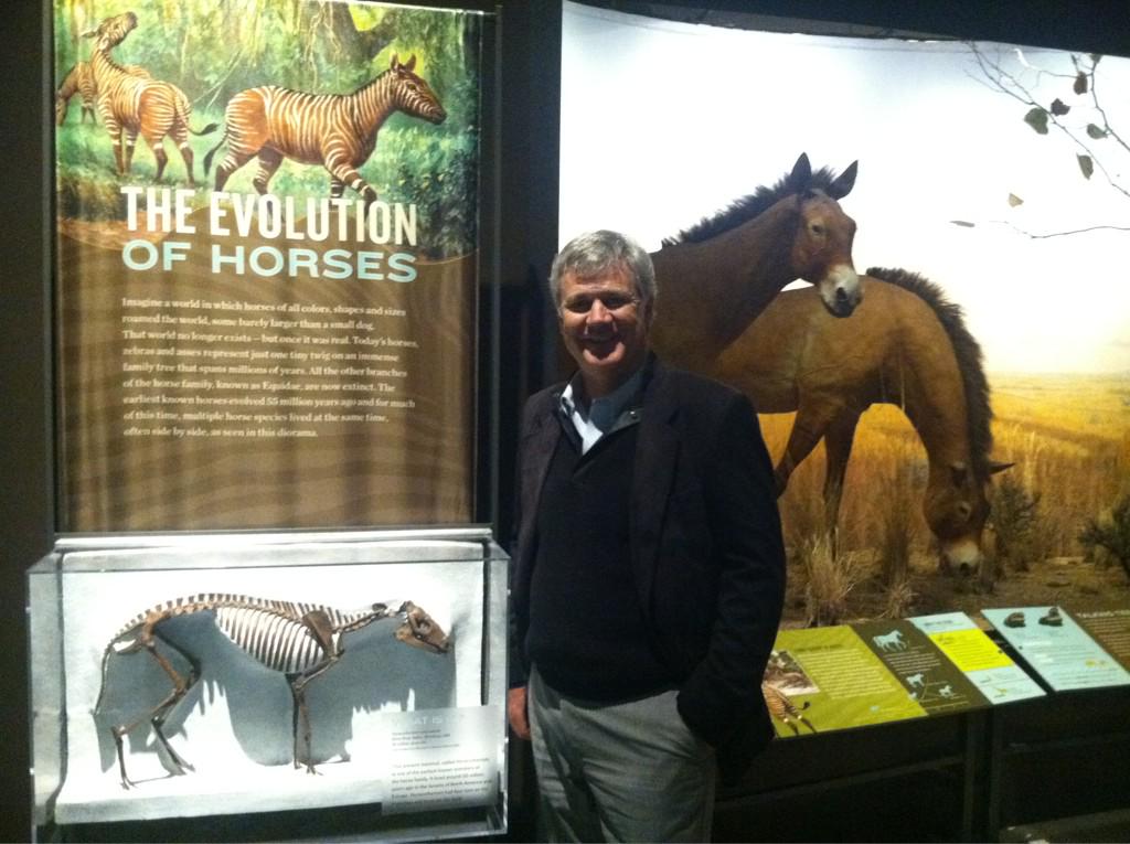 DRRameyDVM's tweet photo. Quick field trip to visit the fantastic Horse exhibit at The Natural History Museum. #enduringbond #AAEP2014 @NHMU http://t.co/KGjO6EYdIN