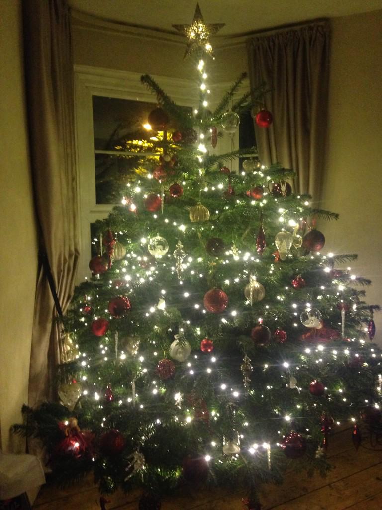 scotw77's tweet photo. Now that's a tree #wifesmasterpeice http://t.co/HyBFDVQT8p