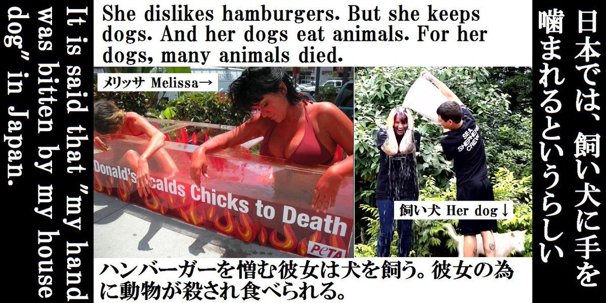 irukanigohan's tweet photo. #Vegan uses #meat. @Melissa_Sehgal @CoveGuardians #tweet4taiji #Grindstop #Nosharkcull #OperationIceFish #seashepherd http://t.co/wMw74c2qj3