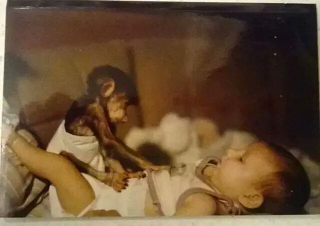 KadyandAylaBook's tweet photo. #retweet #cutestpicever #monkey &amp; #baby #reallife @KadyandAylaBook  written by @KDDelgado123 #cutebaby #needasmile http://t.co/NQnWmwnkT0