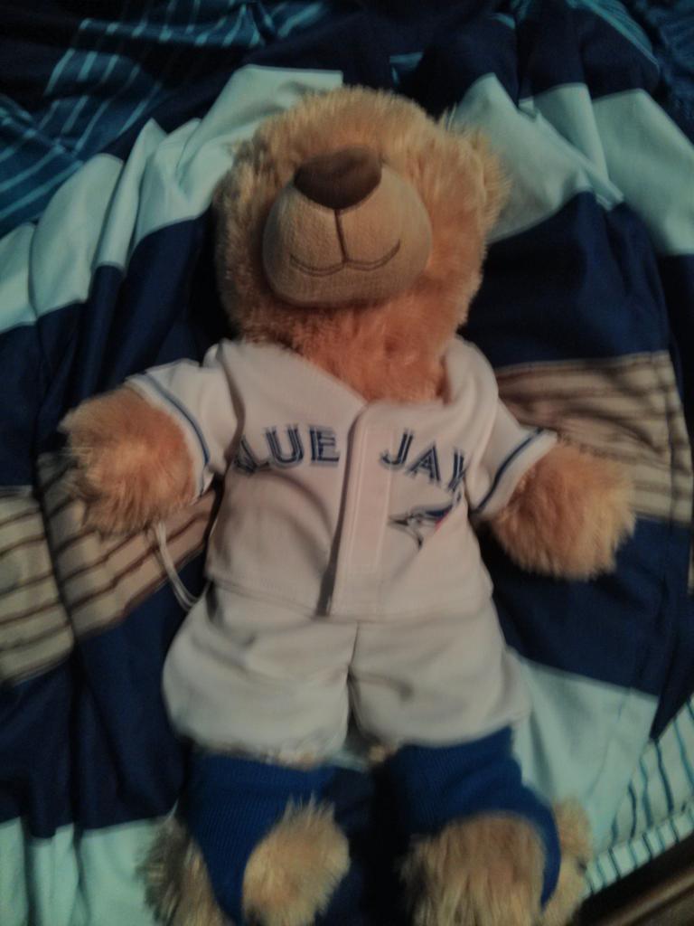 JoseBeartista's tweet photo. @JoseMeowtista @BlueJays I'm always wearing my @BlueJays  jersey!!! #jaysfanforlife http://t.co/VuwmyRWr7O