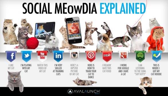 AdSpaceAds's tweet photo. Social media explained by cats. Purrrrfect! #socialmedia #cats http://t.co/eLXs7N9WsO