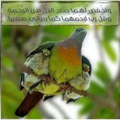 KSkhafe's tweet photo. http://t.co/93flOcgw7H