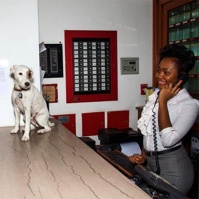 sagamorehotel's tweet image. After a long but fun week #baseling all over #MiamiBeach, #ArtBasel2014 has finally come to an end for Brody. #Art