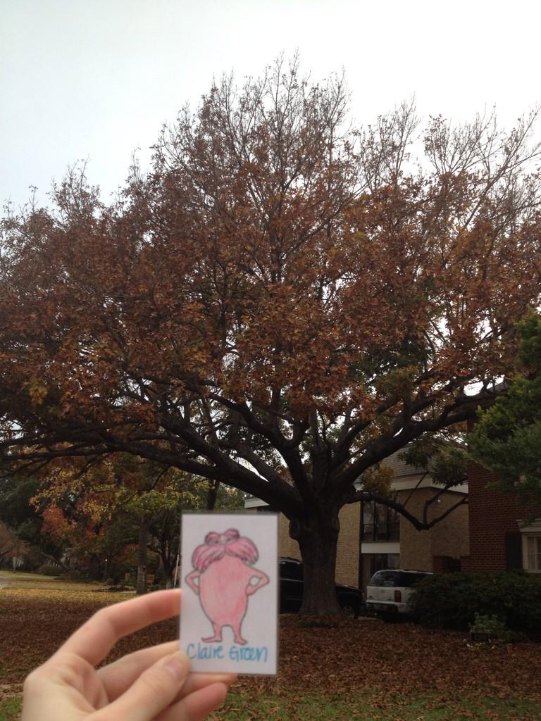 FlatLoraxCG's tweet image. looking @ oaks is so worth it knowing they come from good &apos;ole 🇺🇸 #flatlorax #topic7 #hphsapes2014 #period2