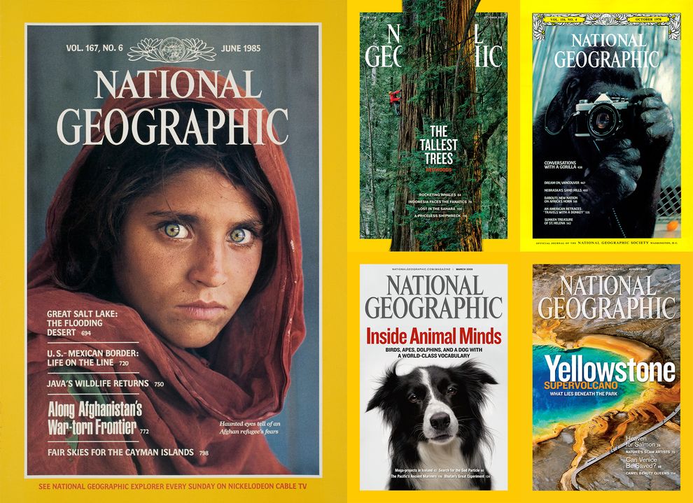 NatGeo's tweet image. Check out some of our favorite magazine covers—and the stories behind them: on.natgeo.com/130K5b1