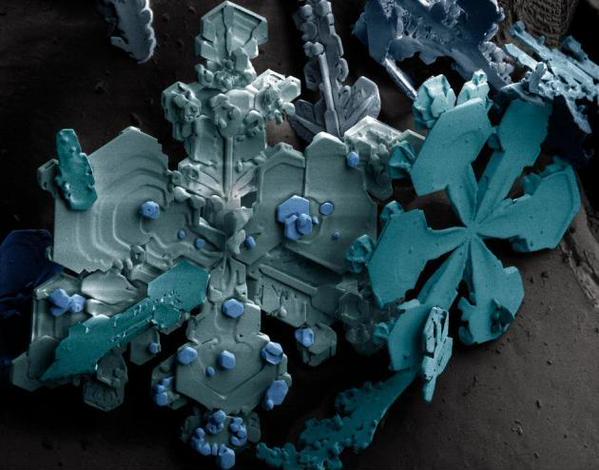 _Paisajes_'s tweet photo. Copos de nieve bajo un microscopio electrónico http://t.co/5IvMgvb1Qu