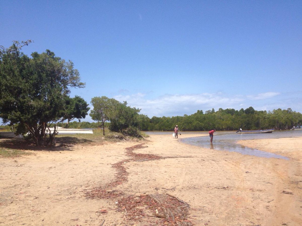 coralspiritkeny's tweet image. #funzi island #kenya