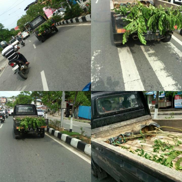 Itu bibit yang sudah kita ambil, dan mau di bawa ke smkn3