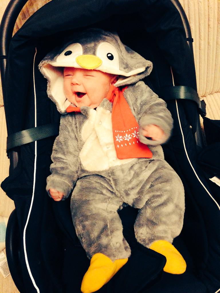 LMeggo's tweet photo. We have our very own Monty 🐧 #reallove #MontyThePenguin @johnlewisretail http://t.co/AnG0Xn6WOu