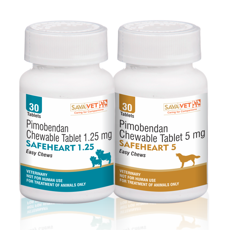 SAVAVet's tweet photo. #SAFEHEART

Congestive #Heart Failure in #dogs , Effectively increase #cardiac output

More at
http://t.co/DtMWIQMPOE http://t.co/WoK1tNY8uH