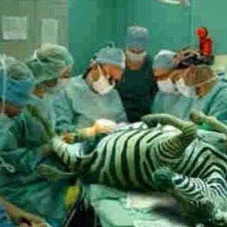 Operasi Zebra 2014 digelar di Tambaksari, depan Stadion Gelora 10 Nopember Surabaya. ow.ly/3v41XG #LalinSby