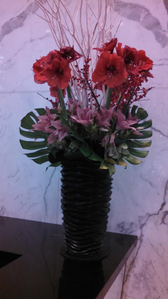 All_4_DaBooty's tweet photo. @DaBootyXx  New flowers for Pammy! http://t.co/Qd6c7XYCMH