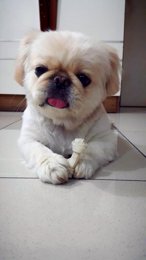 steyapo's tweet image. @aMrazing ini olipo. #verylatereply :))