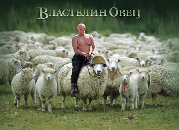 Лаврову не нравится, что ОБСЕ "избыточно" внимательно следит за террористами - Цензор.НЕТ 2518