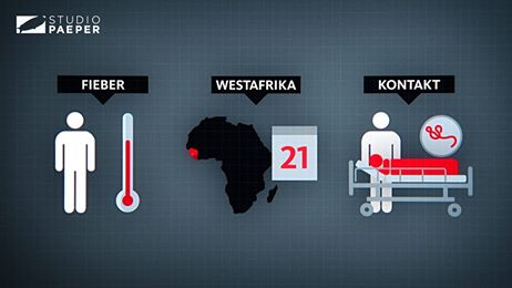 Studio Paeper tweet media