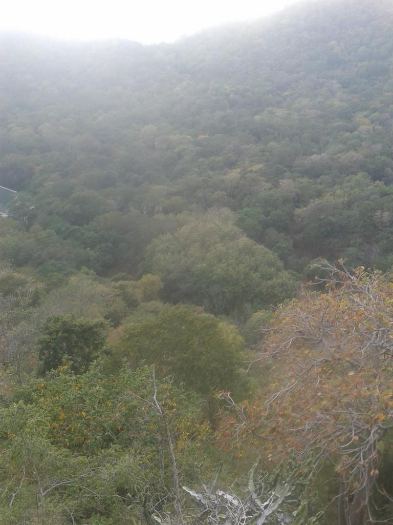 miplus57's tweet image. 