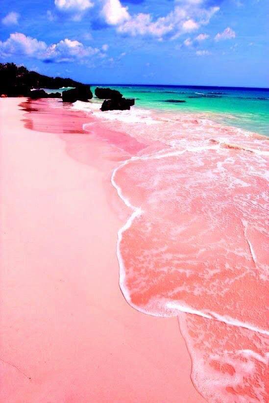 expIoretheworId's tweet photo. Pink Sand Beach, Bahamas http://t.co/eVSAh9ROKM