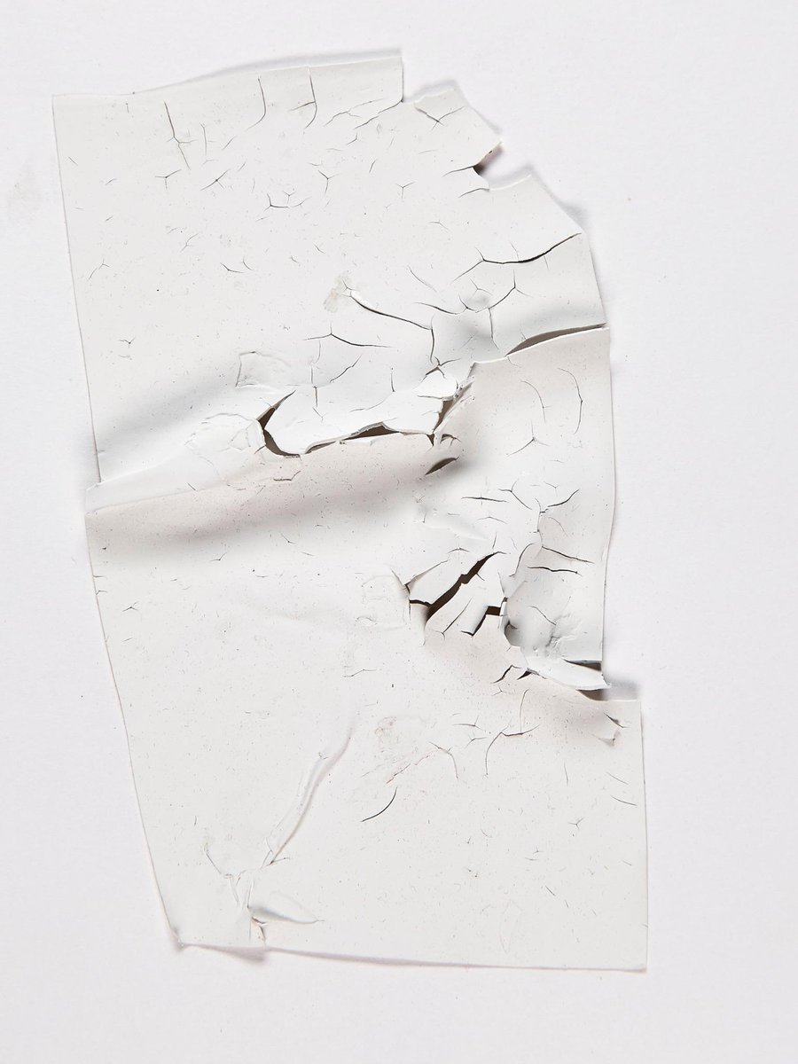 Fulton Ryder tweet media