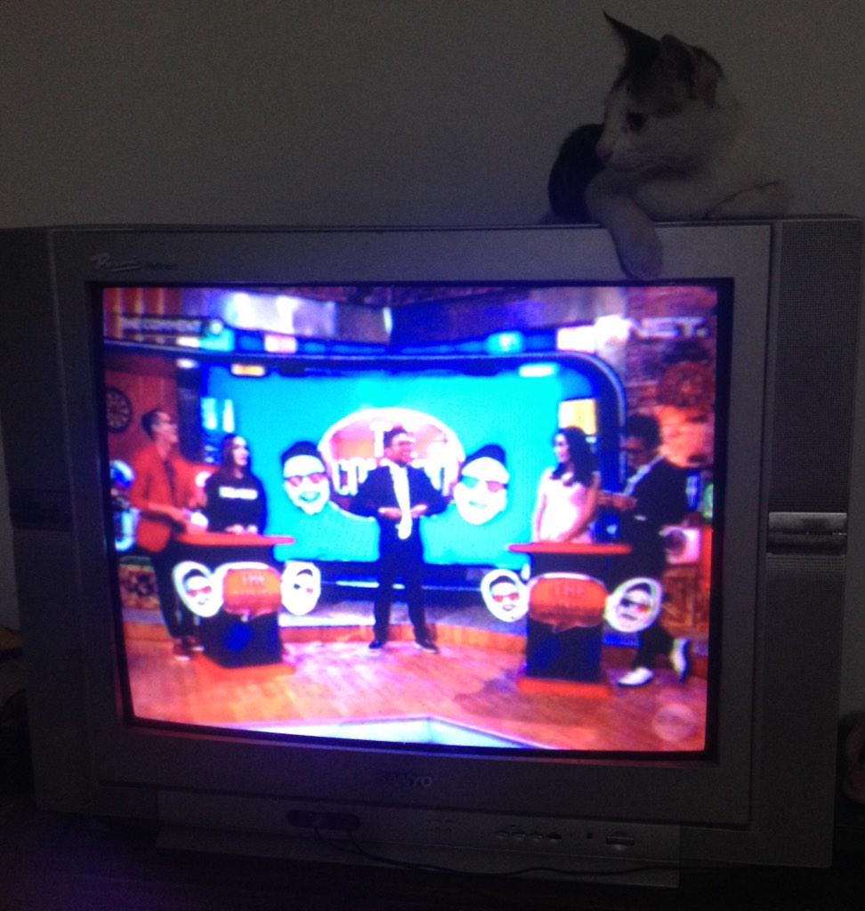 rizkyariyanto's tweet photo. @netmediatama dia aja suka nonton http://t.co/URJjfIkp1D apalagi manusia, keren deh pokoknya net NETMiliuner http://t.co/UT7U38s9J6