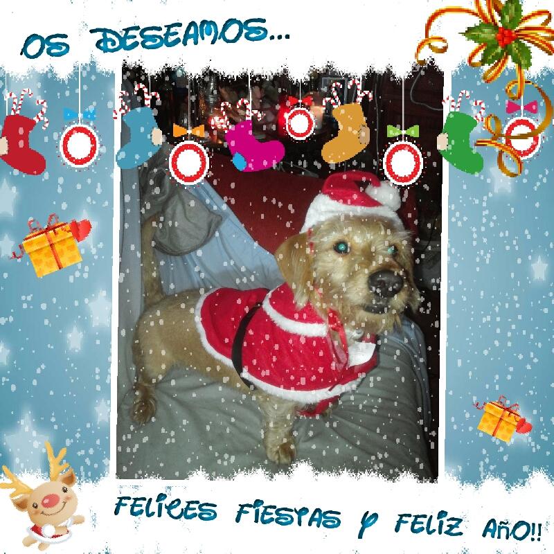 IsabelBeAr's tweet photo. Felices fiestas y prospero 2015 a todos!!! :) http://t.co/DLGmbqri2G