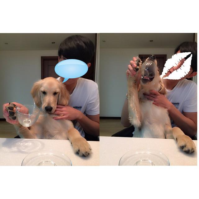 埋め込み画像への固定リンク