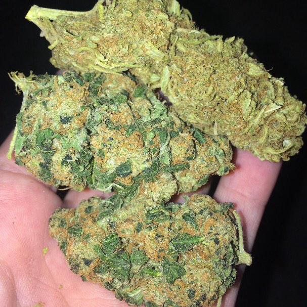 dailyloudpack's tweet image. Crazy Daily Loud Pack 😍🔥‼️ ( Sour OG Skunk, &amp;amp; Lemon Haze)