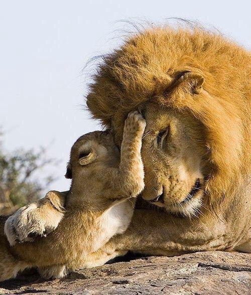 OraYReflexiona's tweet photo. "Te quiero tanto..." http://t.co/FRkzNL8f7g