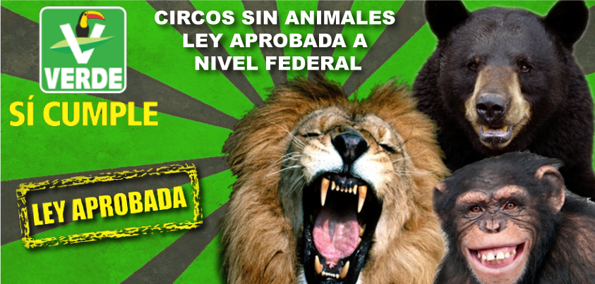 partidoverdemex tweet picture