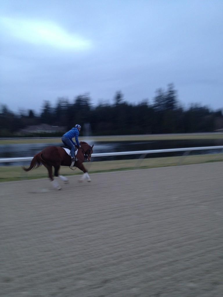 Scherzinger getting ready for So Cal . Can't wait!