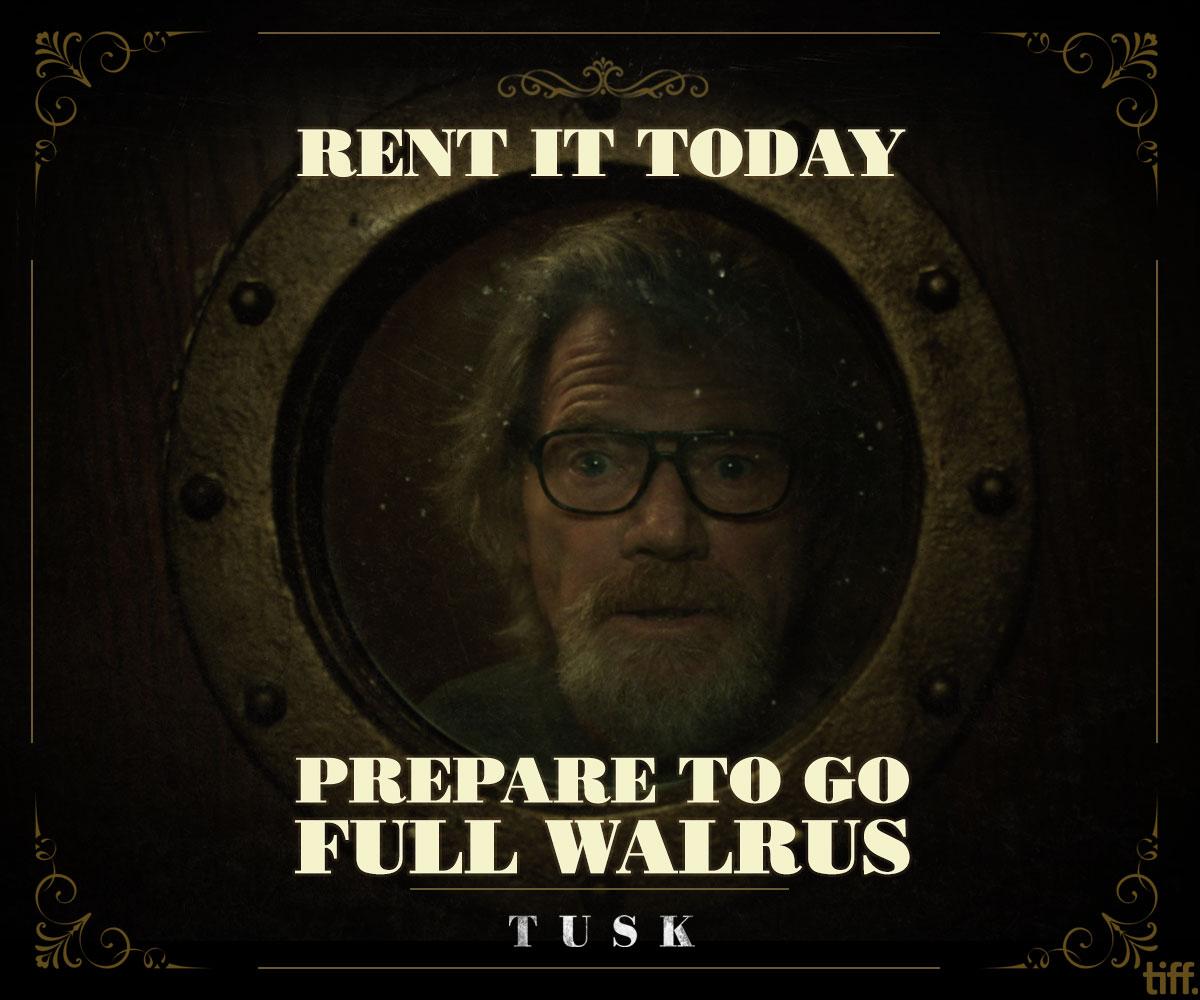 An experience unlike any other. Now on Rental: bit.ly/Tusk_iTunes