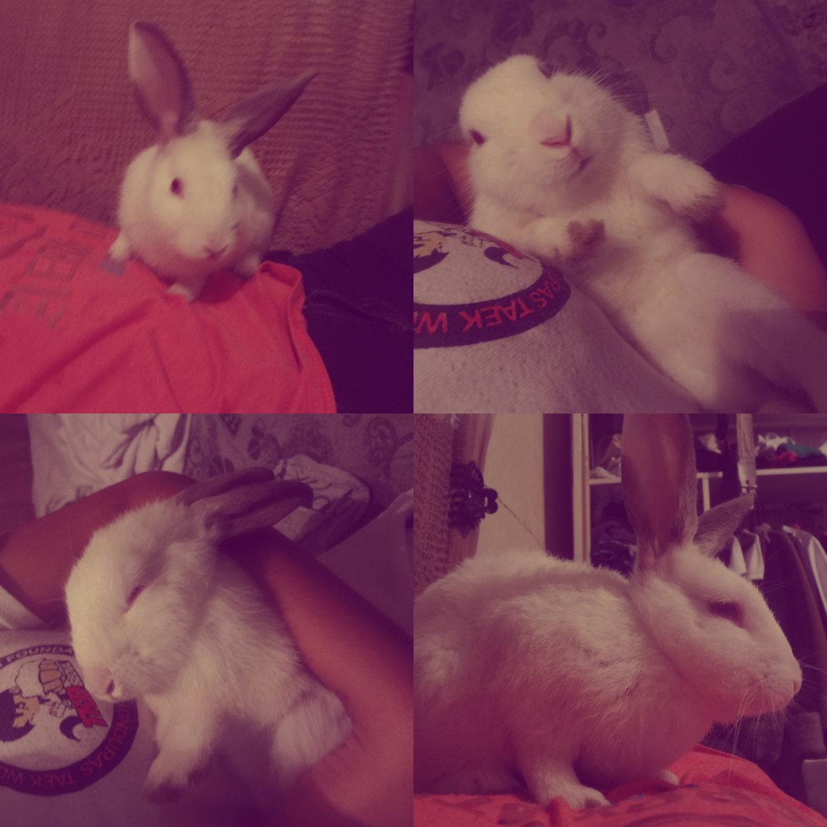 Gissprinces1789's tweet photo. #Roberto #Ricardo #Payulo <3 #SeñorBigotes.... http://t.co/x7uktInHQG