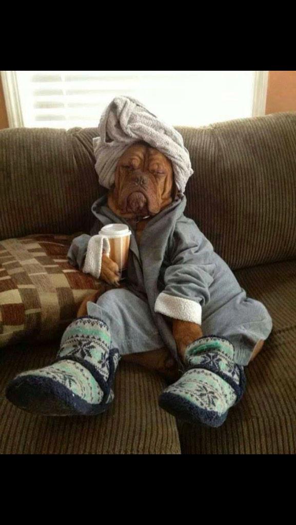 MainFrame48's tweet image. #Chillin #hard #morningjoe