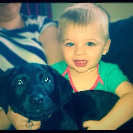 Gordon_Roberts2's tweet photo. Ollie and his doggie Dino,16 weeks. #WellPets #Labrador #Dogs #PetLove #Petcare #DogLover http://t.co/3olf8eIPun