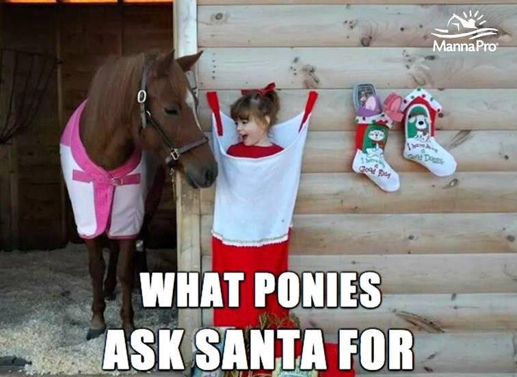 RolltackLtd's tweet photo. How cute is this? #rolltack http://t.co/Nh8PfnTc9H http://t.co/cQxCnHiRFH