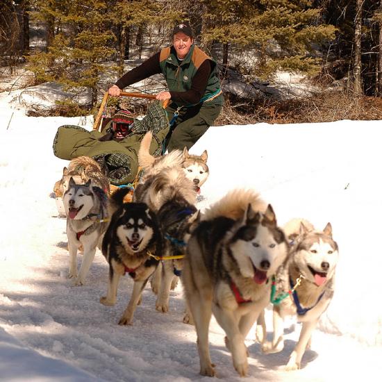TremblantActiv's tweet photo. Dogsledding forest advenure is now open !
http://t.co/36RfFmSzjV http://t.co/PiToiHo6kc