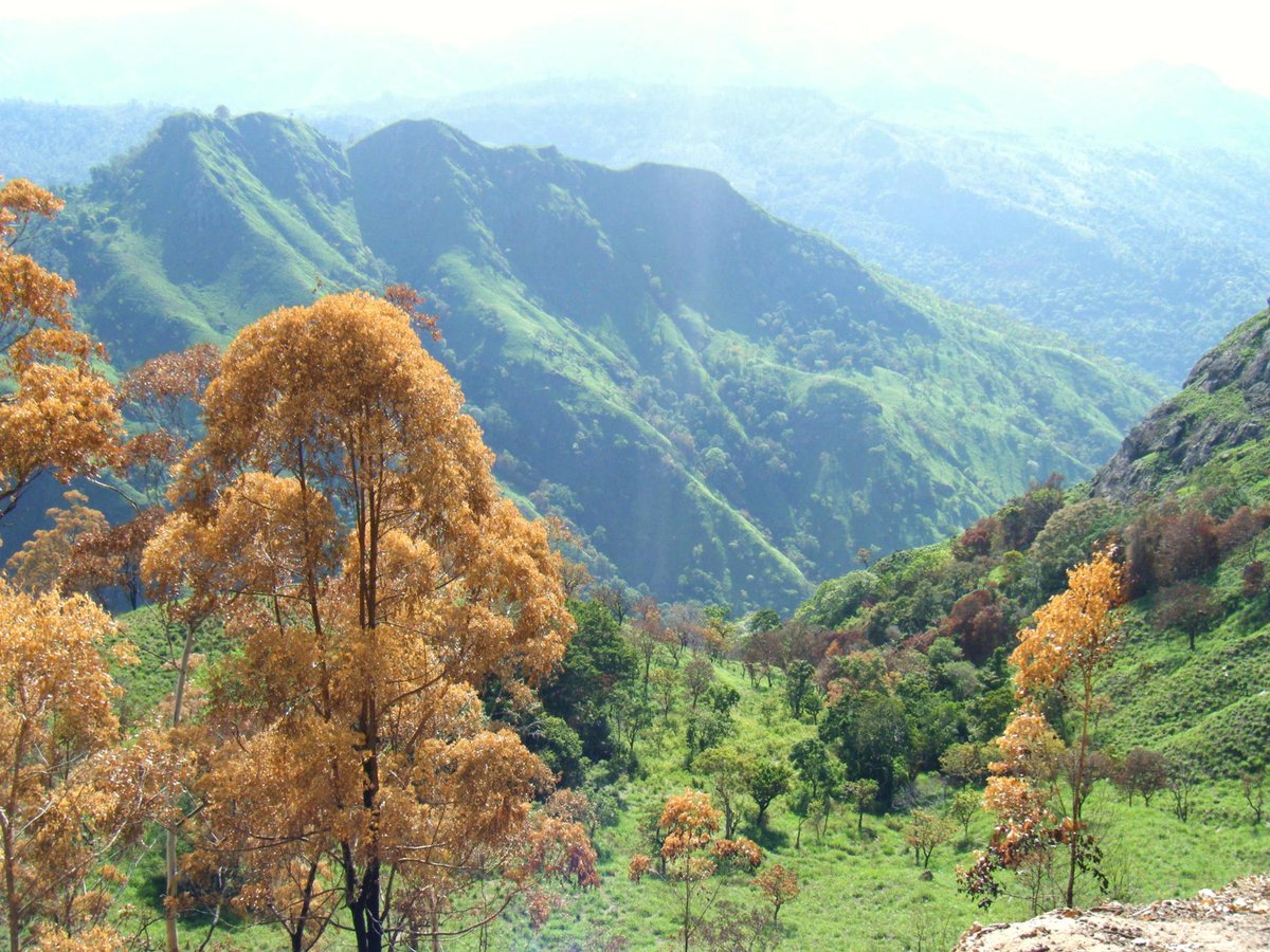 Souvenirs d'#Ella Rock #SriLanka bit.ly/12m9M4C