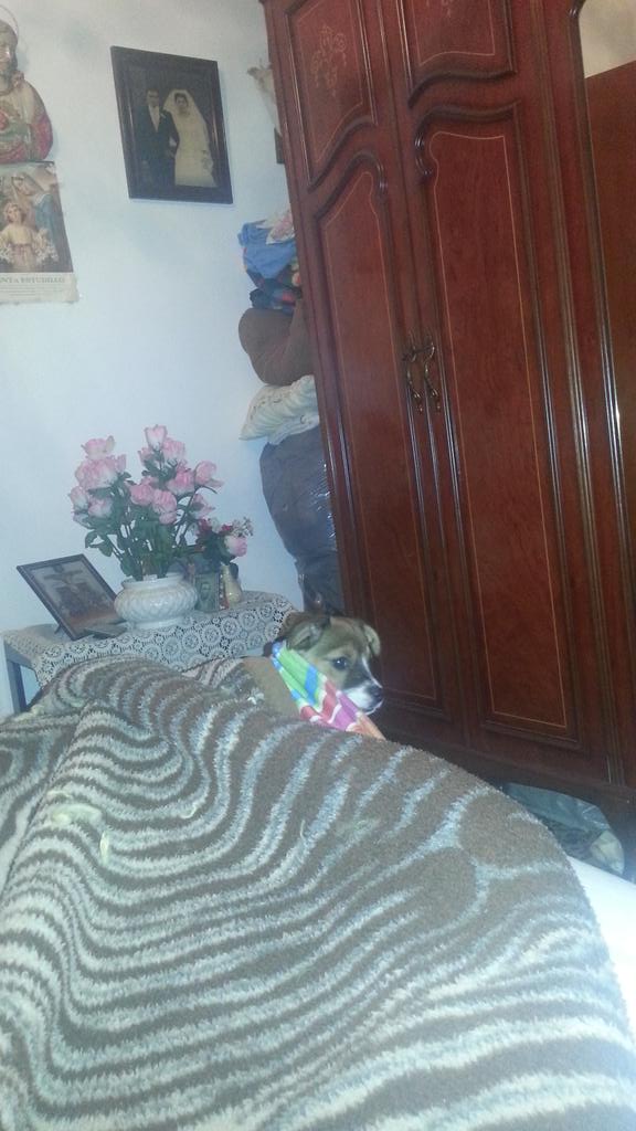 Terren88's tweet photo. La fierilla! http://t.co/4BKkIGjrsm