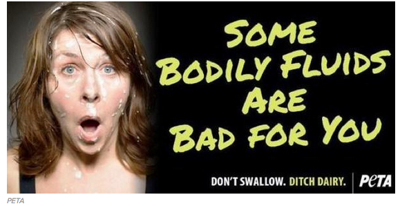BuzzFeedUK's tweet photo. PETA’s porn-inspired anti-dairy advert was taken down after complaints
http://t.co/QZd1qVr8pf http://t.co/kUAfAM02pe