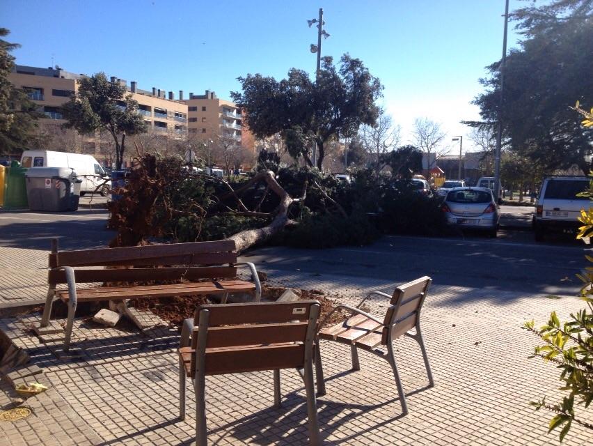 femcastellar's tweet photo. Arbre caigut al carrer Pedrissos #Castellar

---
---
Enviat via WhatsApp http://t.co/sC2Lr6lGYz