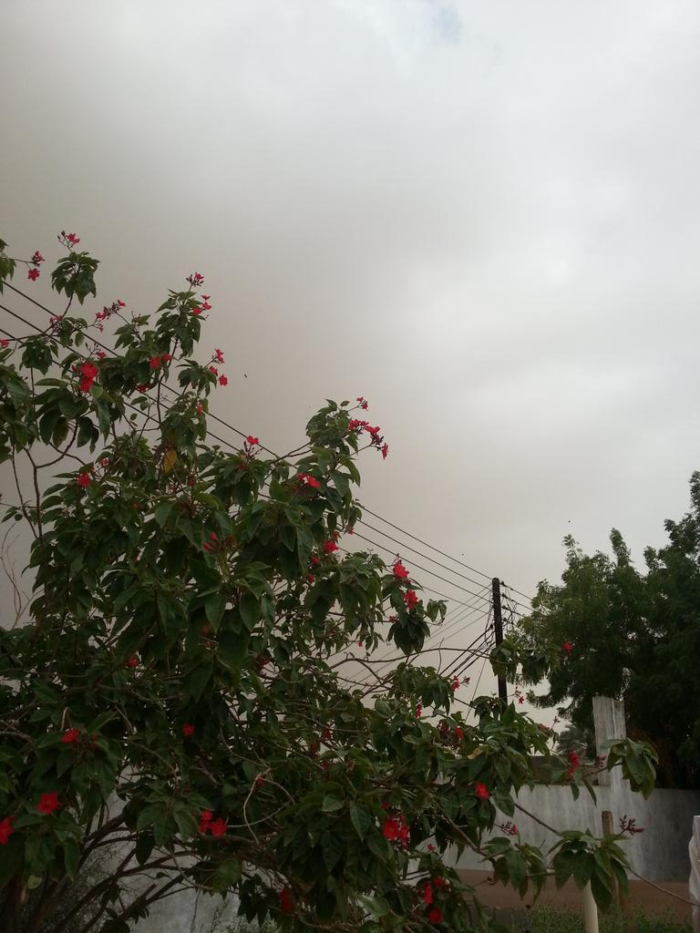 moonmemoo's tweet image. The weather in my village now 
May Allah protect us
#تصويري
#الطقس 
#ksaweather
#تعلم_الإنجليزية_ببساطة
 #my_village