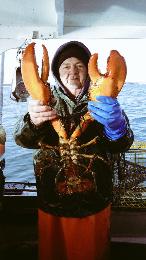 FFRinc1976's tweet photo. Uncle Jimmy with a big oversized.   Traps are up http://t.co/j7A7myxYpA