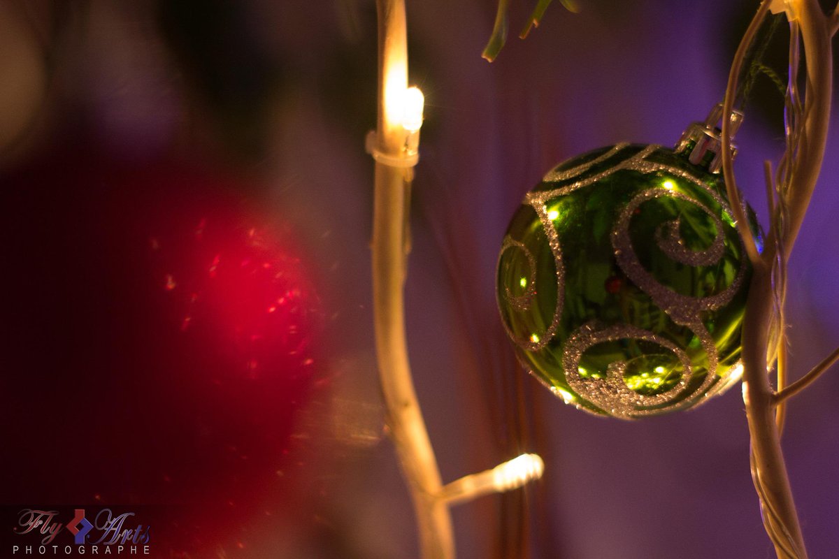 FlyArts64's tweet photo. 6 - On approche de Noël, donc n'oubliez pas votre sapin. http://t.co/lZ9zcFCE9Y