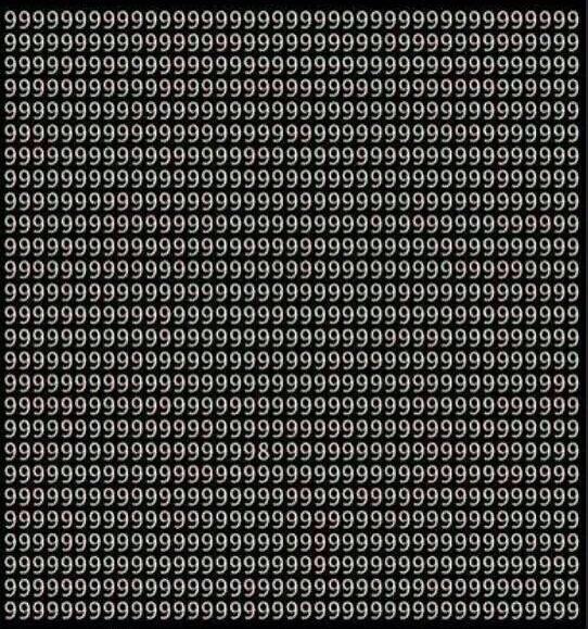 프리마 tweet media