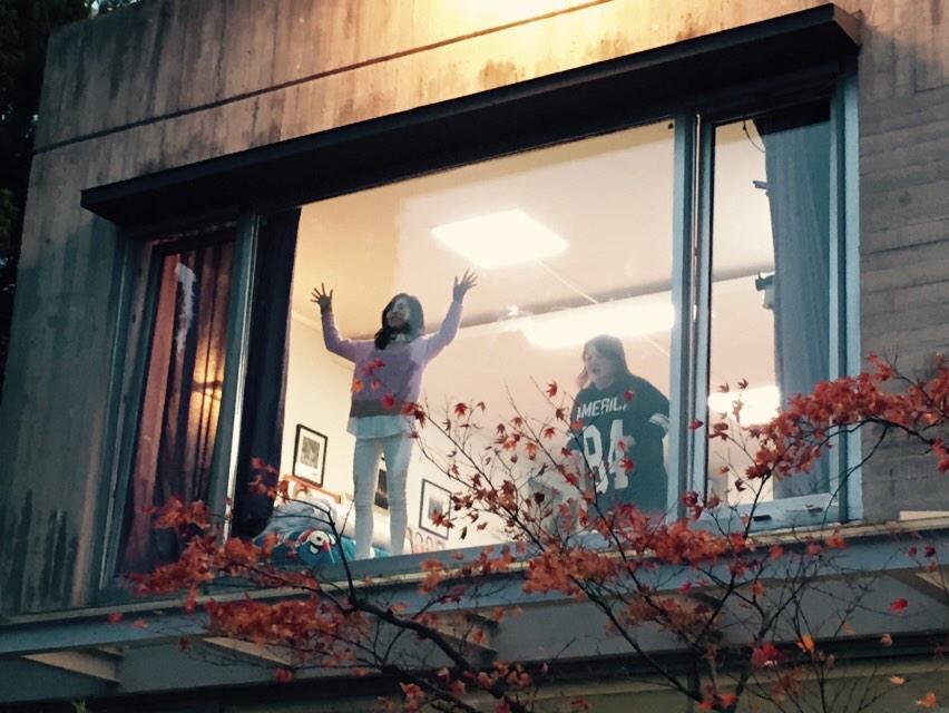 Embedded image permalink