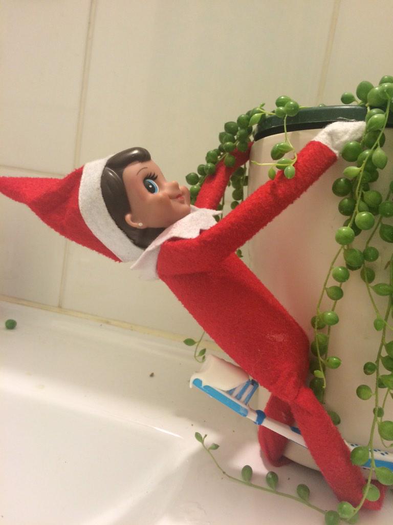 becksohagan's tweet photo. Elf on the shelf has gone to a new level this year! http://t.co/w2i4yknvlC