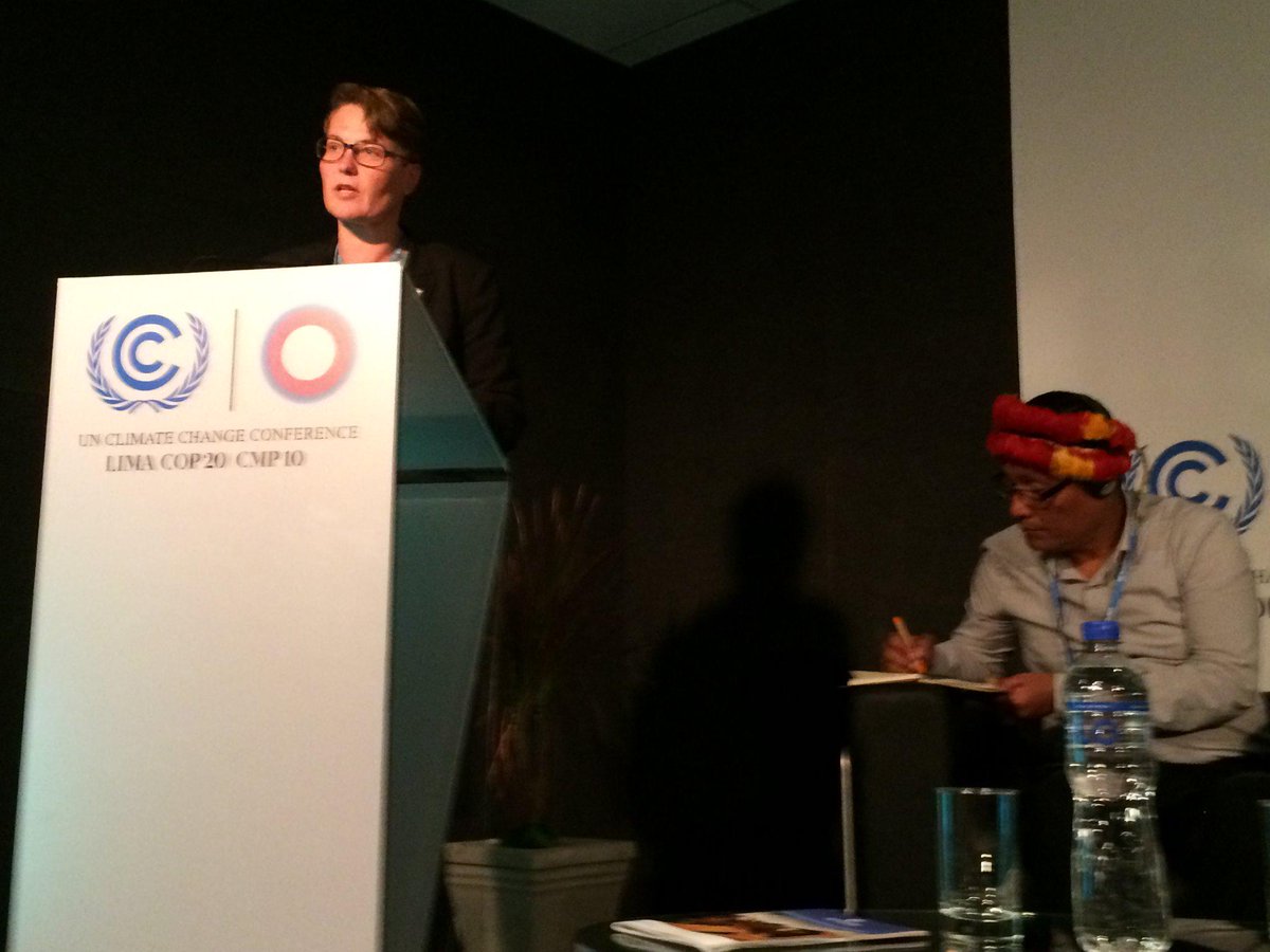 REDD+ will not succeed if indigenous rights is not part of the solution says @TSundtoft at #COP20Lima